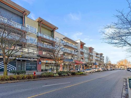 211 20728 Willoughby Town Centre Drive, Langley, BC 