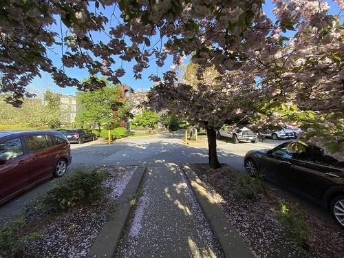 208 5700 200 Street, Langley, BC 