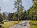 11977 Stave Lake Road, Mission, BC 