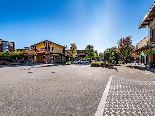 A512 20716 Willoughby Town Centre Drive, Langley, BC 