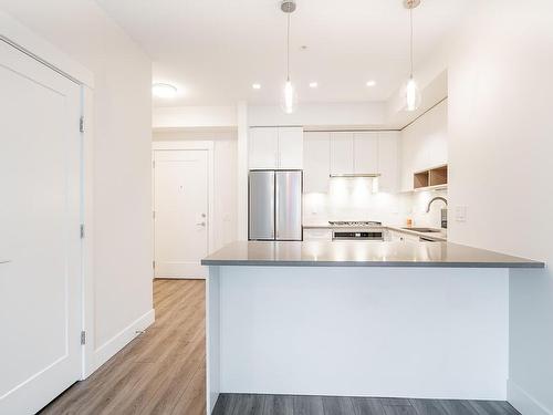 A216 20727 Willoughby Town Centre Drive, Langley, BC 