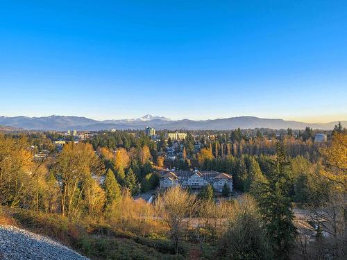 3 31538 Upper Maclure Road, Abbotsford, BC 