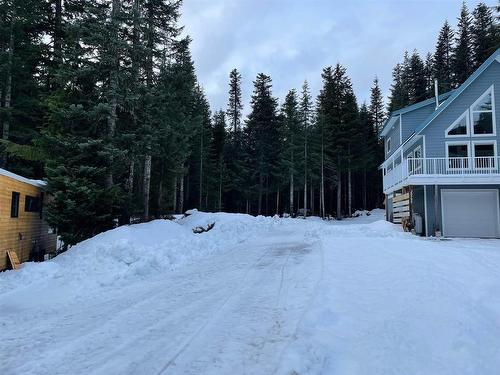 20785 Mt Downing Road, Agassiz, BC 