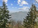 32572 Bobcat Drive, Mission, BC 