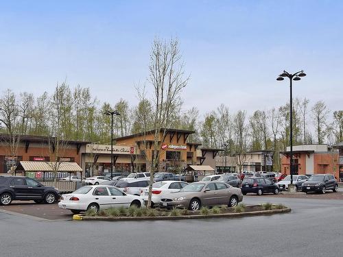 A414 20727 Willoughby  Town Center Drive, Langley, BC 