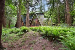 2845 132 Street  Surrey, BC V4P 1J9