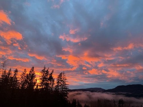 11082 Greenwood Drive, Mission, BC 