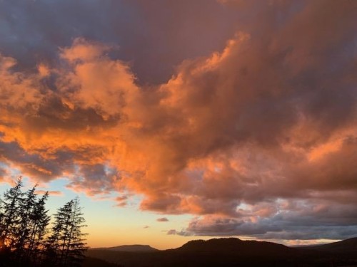 11082 Greenwood Drive, Mission, BC 