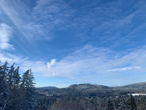 11082 Greenwood Drive, Mission, BC 