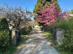 5007 Boundary Road  Abbotsford, BC V3G 2N4