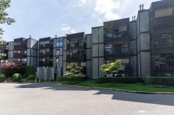 314-9672 134 Street  Surrey, BC V3T 5L5