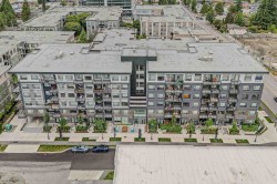 201-10777 138 Street  Surrey, BC V3T 0T5