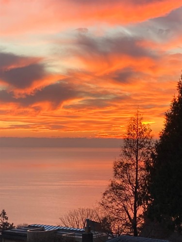 305-15010 Roper Avenue, White Rock, BC 