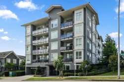 303-13628 81a Avenue  Surrey, BC V3W 3E2