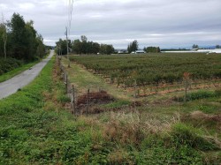 34861 Bateman Road  Abbotsford, BC V2S 7Y8