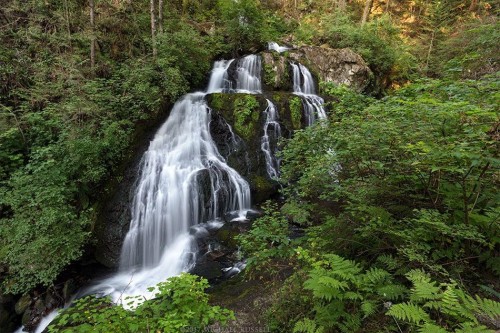 32881 1St Avenue, Mission, BC 