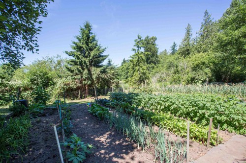 1381 184 Street, Surrey, BC 