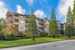 304-16068 83 Avenue  Surrey, BC V4N 0N2