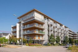 A202-8447 202 Street  Langley, BC V2Y 2B7