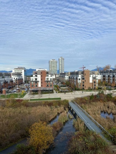 512-20049 82 Avenue  Langley, BC V2Y 2A7