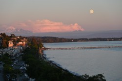 14501 Marine Drive  White Rock, BC V4B 1B4