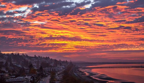 14495 Marine Drive, White Rock, BC 