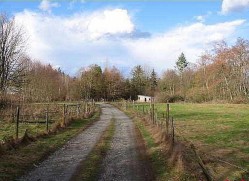 19607 80 Avenue  Langley, BC V3A 4P7