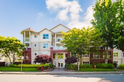 215-8068 120a Street  Surrey, BC V3W 3P3
