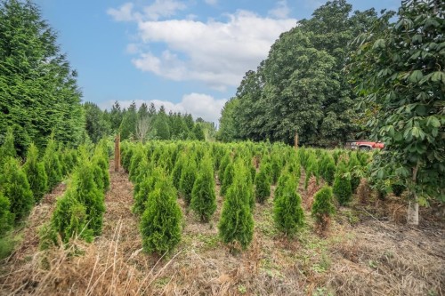 6655 Beharrell Road, Abbotsford, BC 