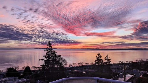 14937 Blackwood Lane, White Rock, BC 