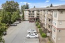 221-2515 Park Drive, Abbotsford, BC 
