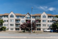 123-12101 80 Avenue  Surrey, BC V3W 5V6
