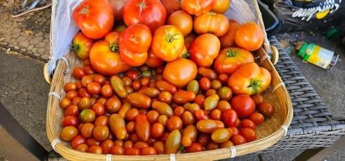 58-8220 King George Boulevard, Surrey, BC 