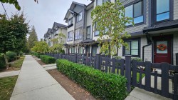 97-8570 204 Street  Langley, BC V1M 2Y5