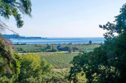 5242 Station Road  Surrey, BC V3X 3C4