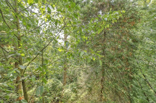 304-19830 56 Avenue, Langley, BC 