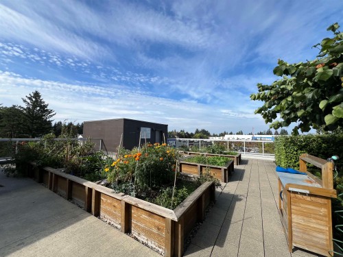 3305-11967 80 Avenue, Delta, BC 