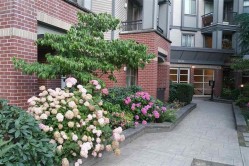 402-10455 University Drive  Surrey, BC V3T 0A5