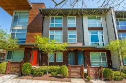 113-2228 162 Street  Surrey, BC V3Z 6P4