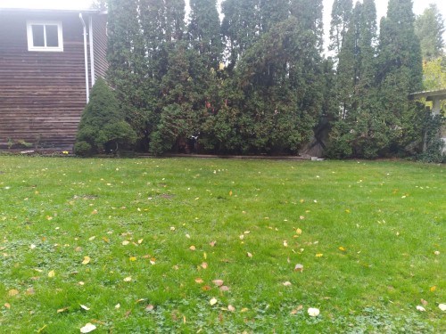 19850 48 Avenue, Langley, BC 