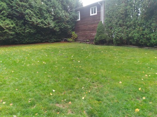 19850 48 Avenue, Langley, BC 