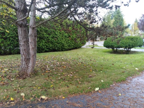 19850 48 Avenue, Langley, BC 