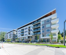 205-10466 138a Street  Surrey, BC V3T 4L3