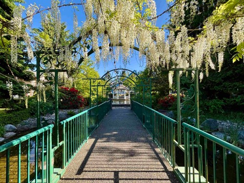 210-13860 70 Avenue, Surrey, BC 