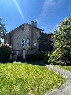 10580 Holly Park Lane  Surrey, BC V3R 6X9