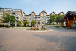 214-6490 194 Street  Surrey, BC V4N 6J9