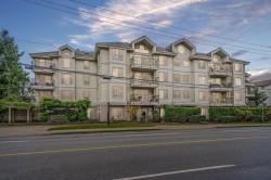 101-33502 George Ferguson Way  Abbotsford, BC V2S 8G3