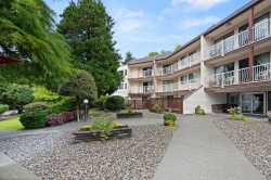 213-12890 17 Avenue  Surrey, BC V4A 1T5