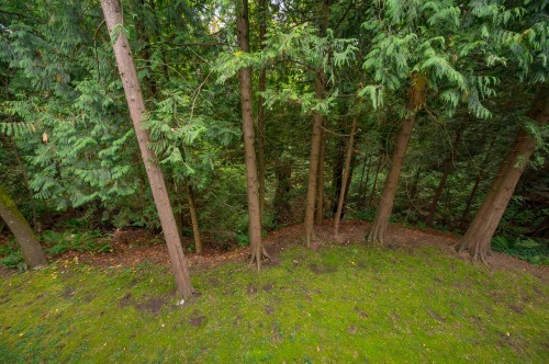 208-10320 156 Street, Surrey, BC 