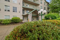 107-2435 Center Street  Abbotsford, BC V2T 2N4